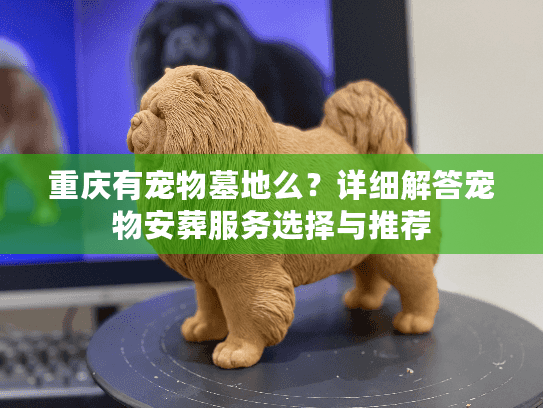 重庆有宠物墓地么？详细解答宠物安葬服务选择与推荐