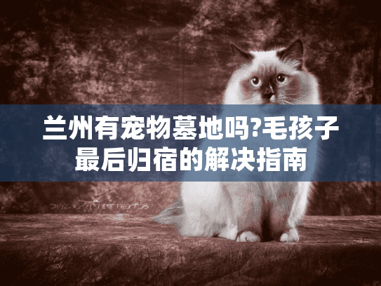 兰州有宠物墓地吗?毛孩子最后归宿的解决指南