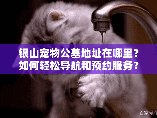 银山宠物公墓地址在哪里?如何轻松导航和预约服务? 银山宠物公墓地址在哪里?如何轻松导航和预约服务?