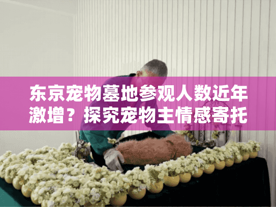 东京宠物墓地参观人数近年激增？探究宠物主情感寄托新趋势