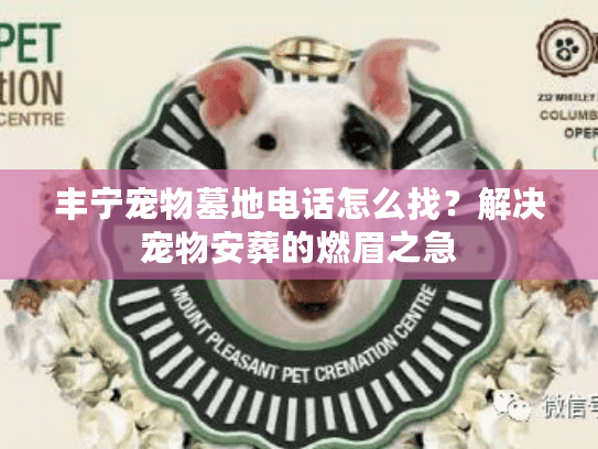 丰宁宠物墓地电话怎么找?解决宠物安葬的燃眉之急 丰宁宠物墓地电话怎么找?解决宠物安葬的燃眉之急