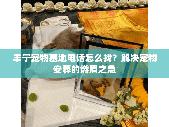 丰宁宠物墓地电话怎么找?解决宠物安葬的燃眉之急 丰宁宠物墓地电话怎么找?解决宠物安葬的燃眉之急