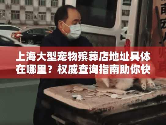 上海大型宠物殡葬店地址具体在哪里？权威查询指南助你快速定位