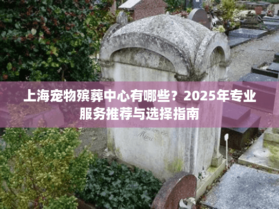上海宠物殡葬中心有哪些？2025年专业服务推荐与选择指南