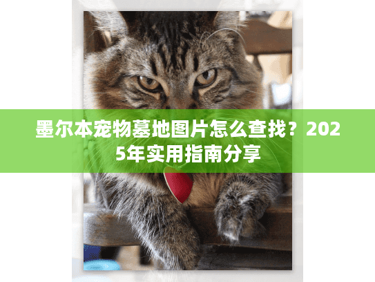墨尔本宠物墓地图片怎么查找？2025年实用指南分享