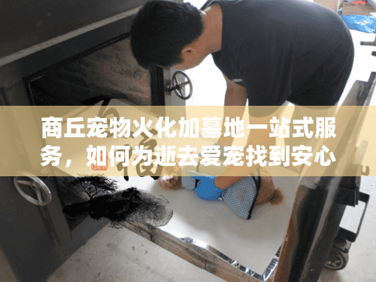 商丘宠物火化加墓地一站式服务，如何为逝去爱宠找到安心归宿？