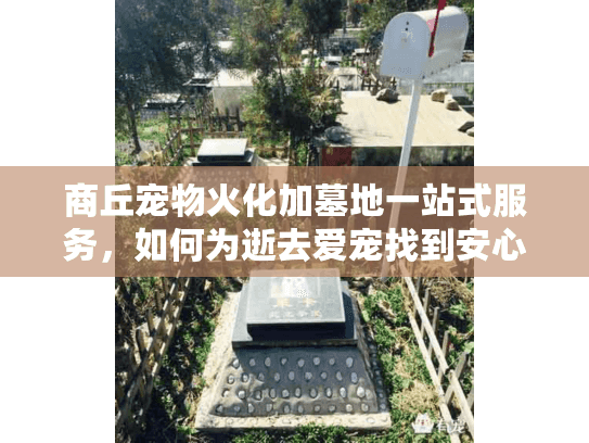 商丘宠物火化加墓地一站式服务，如何为逝去爱宠找到安心归宿？