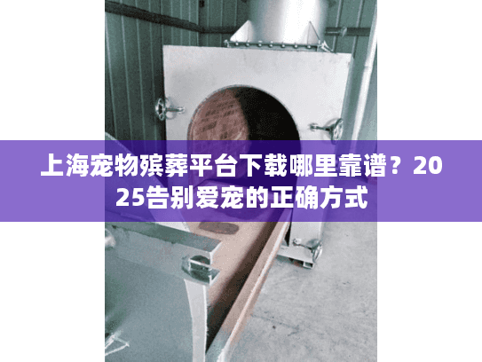 上海宠物殡葬平台下载哪里靠谱？2025告别爱宠的正确方式