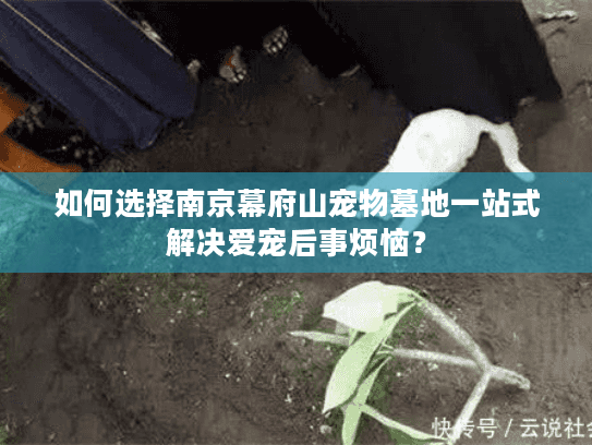 如何选择南京幕府山宠物墓地一站式解决爱宠后事烦恼？
