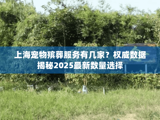 上海宠物殡葬服务有几家？权威数据揭秘2025最新数量选择