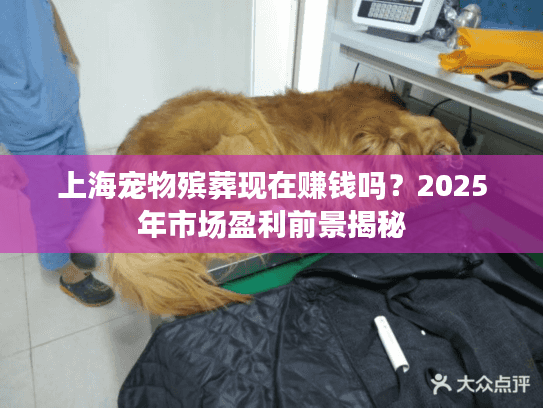 上海宠物殡葬现在赚钱吗？2025年市场盈利前景揭秘