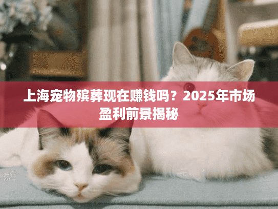 上海宠物殡葬现在赚钱吗？2025年市场盈利前景揭秘