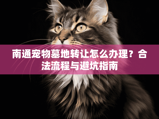 南通宠物墓地转让怎么办理？合法流程与避坑指南