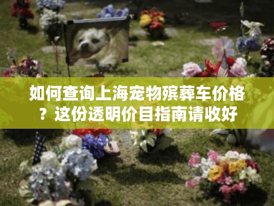 如何查询上海宠物殡葬车价格？这份透明价目指南请收好
