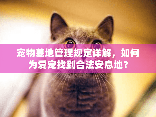 宠物墓地管理规定详解，如何为爱宠找到合法安息地？