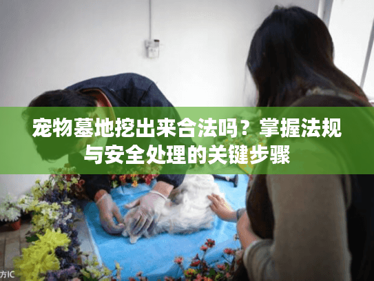 宠物墓地挖出来合法吗？掌握法规与安全处理的关键步骤