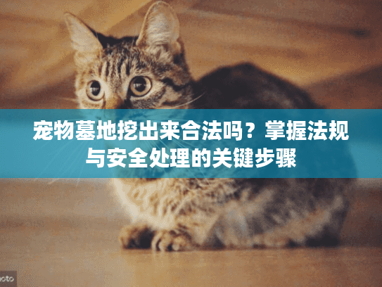 宠物墓地挖出来合法吗？掌握法规与安全处理的关键步骤
