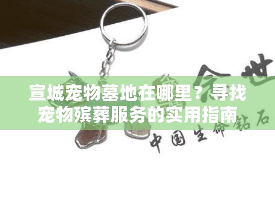 宣城宠物墓地在哪里？寻找宠物殡葬服务的实用指南