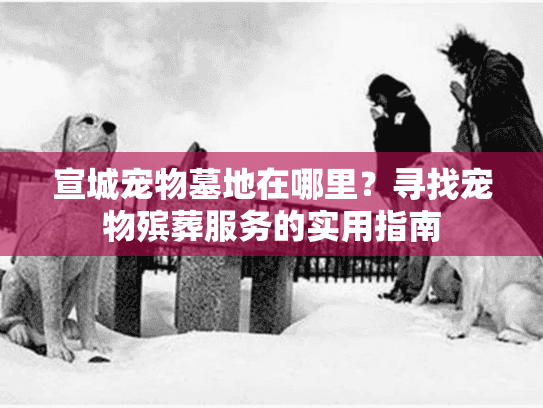 宣城宠物墓地在哪里？寻找宠物殡葬服务的实用指南