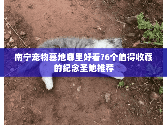 南宁宠物墓地哪里好看?6个值得收藏的纪念圣地推荐