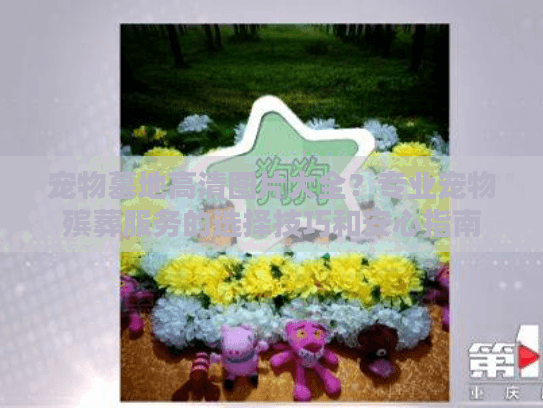 宠物墓地高清图片大全？专业宠物殡葬服务的选择技巧和安心指南