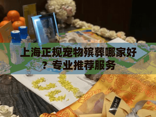 上海正规宠物殡葬哪家好？专业推荐服务
