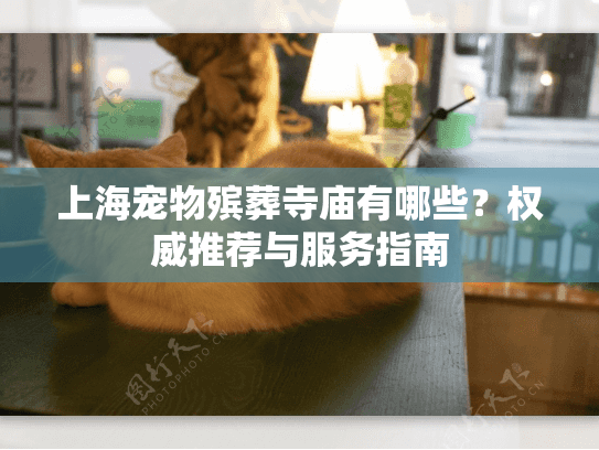 上海宠物殡葬寺庙有哪些？权威推荐与服务指南