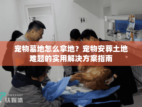 宠物墓地怎么拿地？宠物安葬土地难题的实用解决方案指南