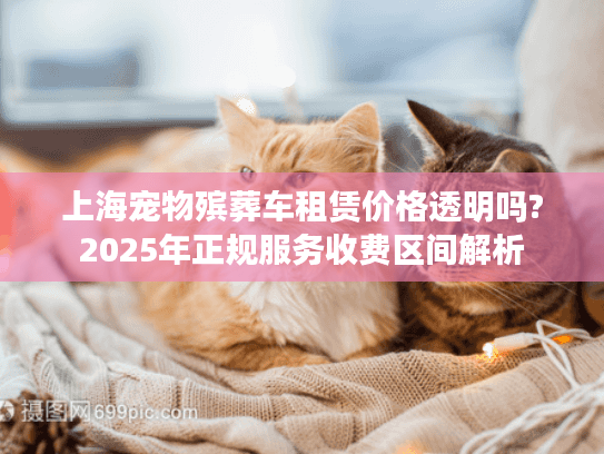 上海宠物殡葬车租赁价格透明吗?2025年正规服务收费区间解析