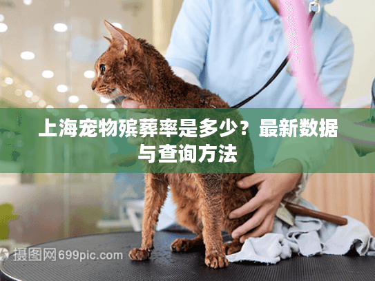 上海宠物殡葬率是多少？最新数据与查询方法