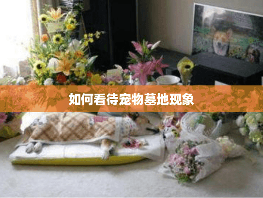 如何看待宠物墓地现象