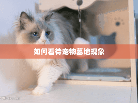 如何看待宠物墓地现象