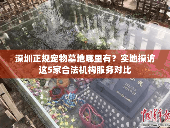 深圳正规宠物墓地哪里有？实地探访这5家合法机构服务对比