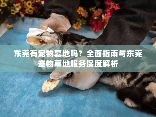 东莞有宠物墓地吗？全面指南与东莞宠物墓地服务深度解析