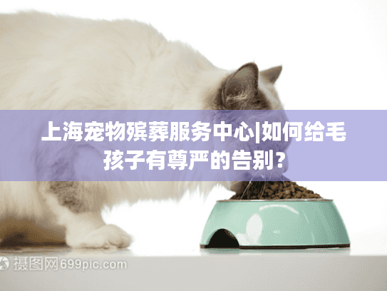 上海宠物殡葬服务中心|如何给毛孩子有尊严的告别？