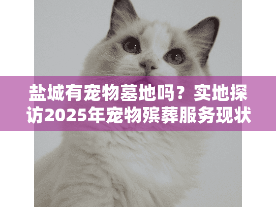 盐城有宠物墓地吗？实地探访2025年宠物殡葬服务现状