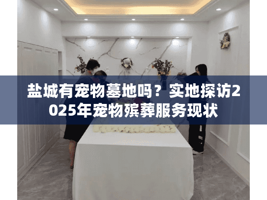 盐城有宠物墓地吗？实地探访2025年宠物殡葬服务现状