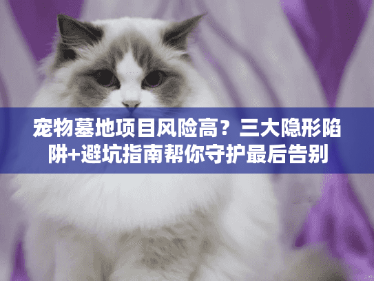 宠物墓地项目风险高？三大隐形陷阱+避坑指南帮你守护最后告别