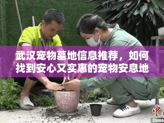 武汉宠物墓地信息推荐，如何找到安心又实惠的宠物安息地