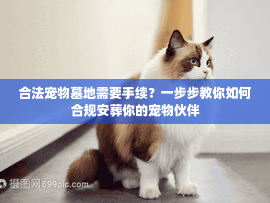 合法宠物墓地需要手续？一步步教你如何合规安葬你的宠物伙伴