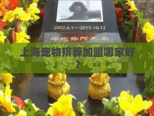上海宠物殡葬加盟哪家好？