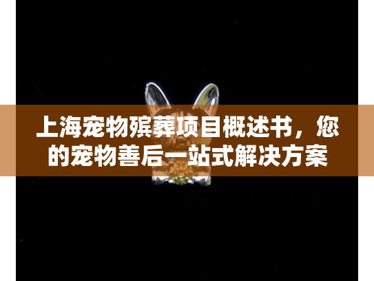 上海宠物殡葬项目概述书，您的宠物善后一站式解决方案