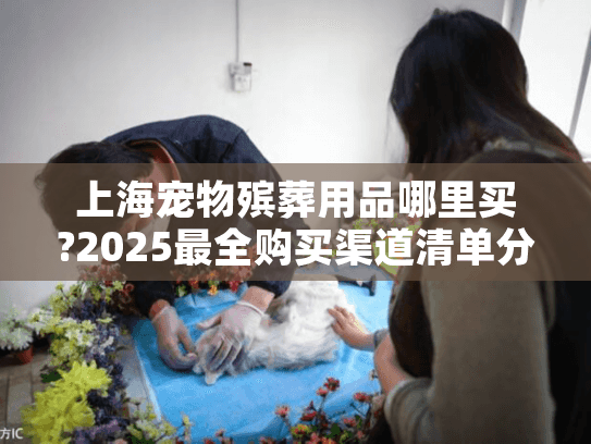 上海宠物殡葬用品哪里买?2025最全购买渠道清单分享
