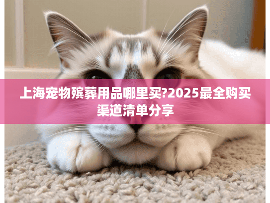 上海宠物殡葬用品哪里买?2025最全购买渠道清单分享