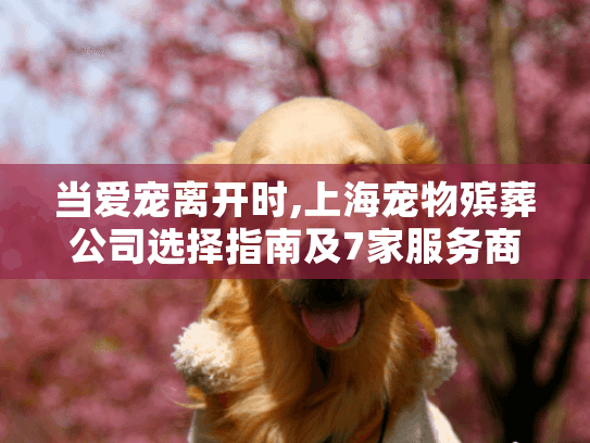 当爱宠离开时,上海宠物殡葬公司选择指南及7家服务商深度解析