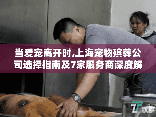 当爱宠离开时,上海宠物殡葬公司选择指南及7家服务商深度解析