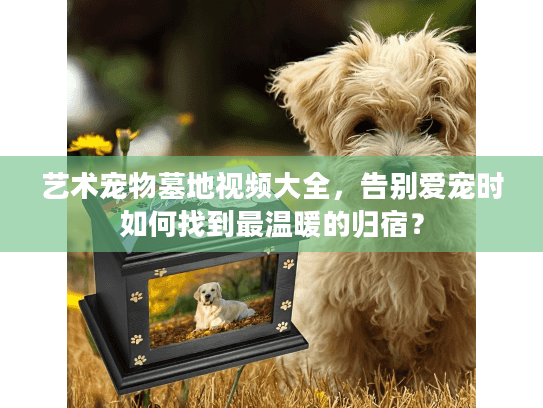 艺术宠物墓地视频大全，告别爱宠时如何找到最温暖的归宿？
