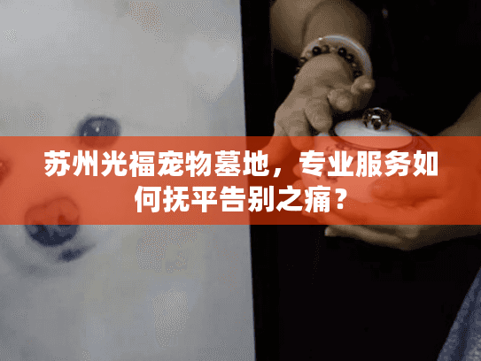 苏州光福宠物墓地,专业服务如何抚平告别之痛? 苏州光福宠物墓地,专业服务如何抚平告别之痛?