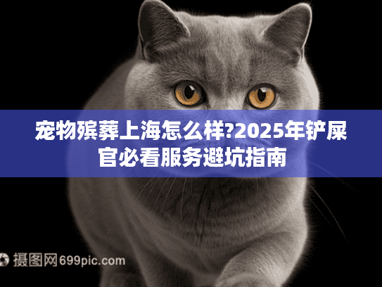 宠物殡葬上海怎么样?2025年铲屎官必看服务避坑指南