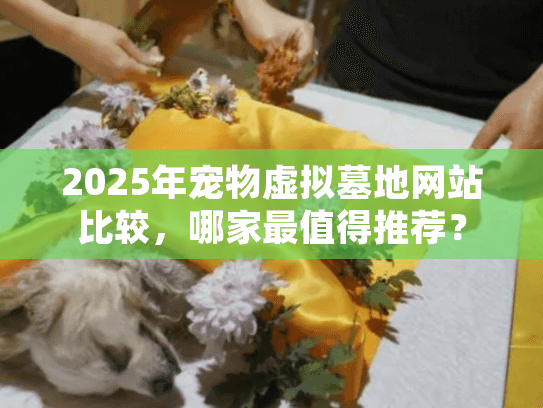 2025年宠物虚拟墓地网站比较，哪家最值得推荐？